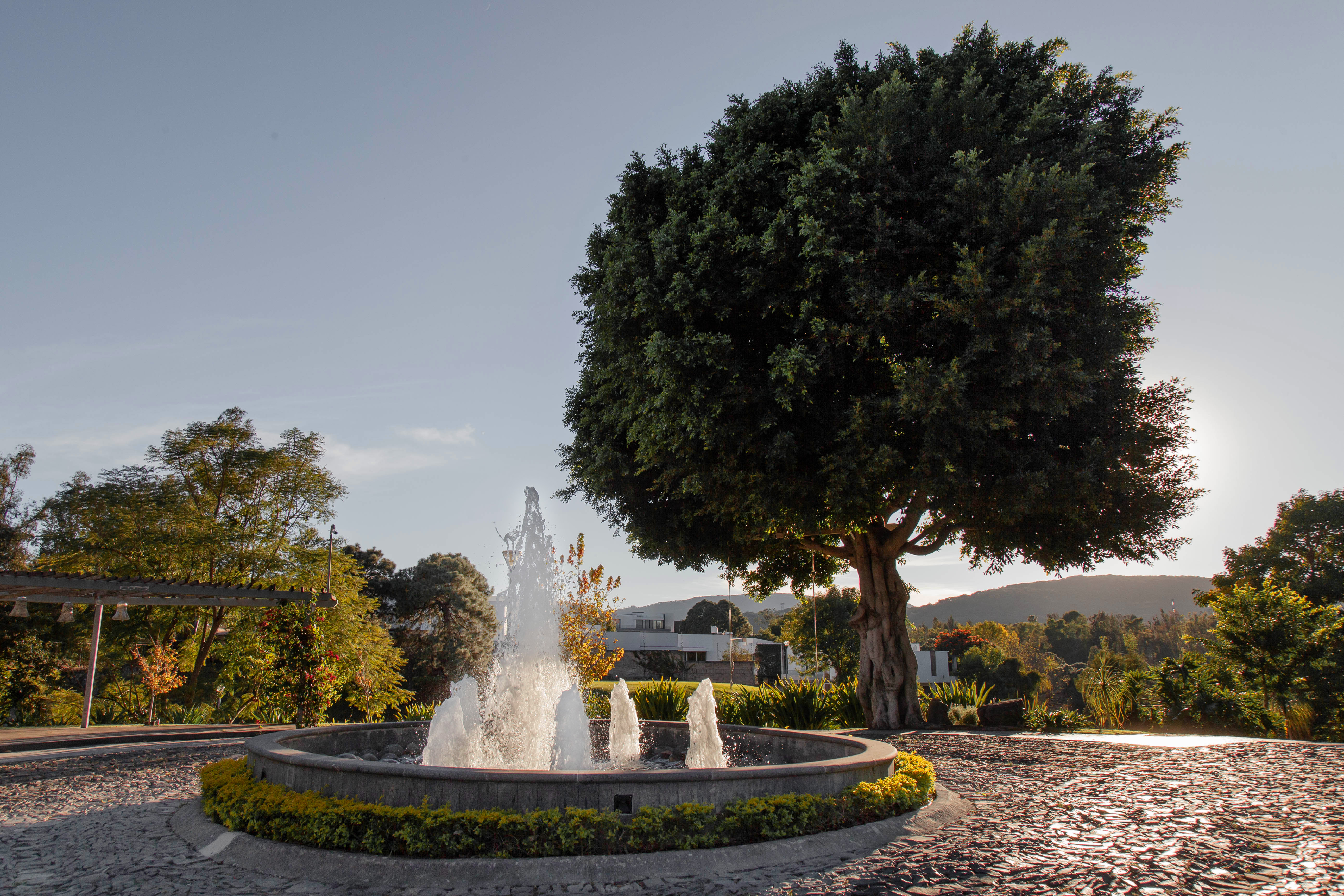 El Romeral Gardens
